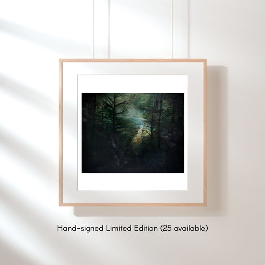 Looking for Light — Fine Art Print — 8 × 8 in